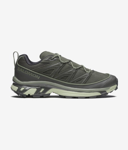 XT-6 EXPANSE LEATHER - Peat / Deep Lichen Green / Green Mist